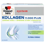 Doppelherz system KOLLAGEN 11.000 PLUS Widok z przodu